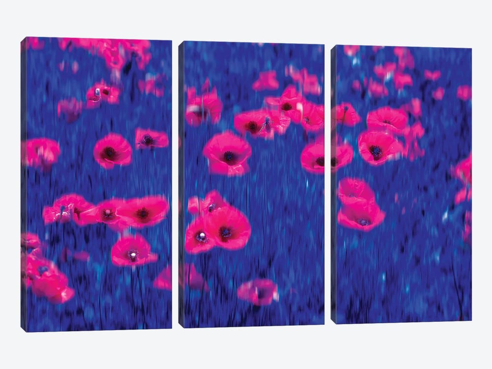 Poppies Impressions by Marco Carmassi 3-piece Canvas Wall Art