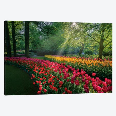 Special Garden Canvas Print #MAO186} by Marco Carmassi Canvas Print