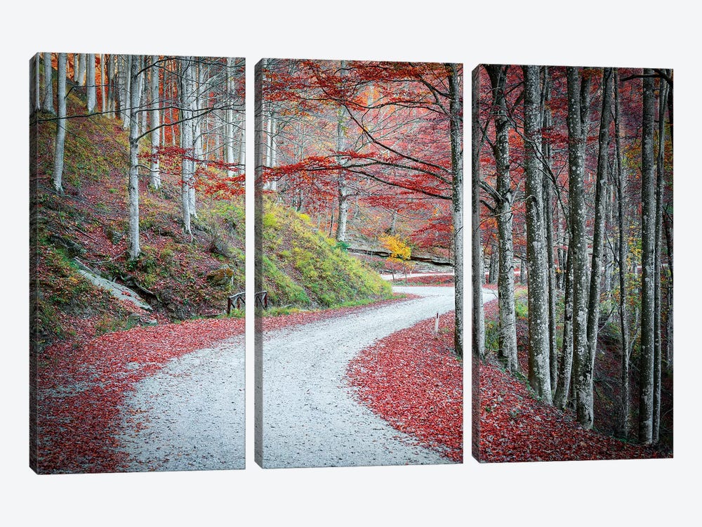 Tuscany Forest by Marco Carmassi 3-piece Canvas Wall Art