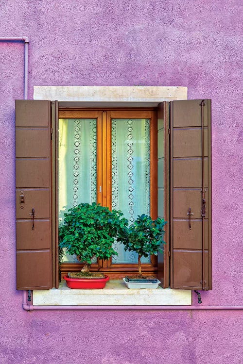 Violet Window In Venice