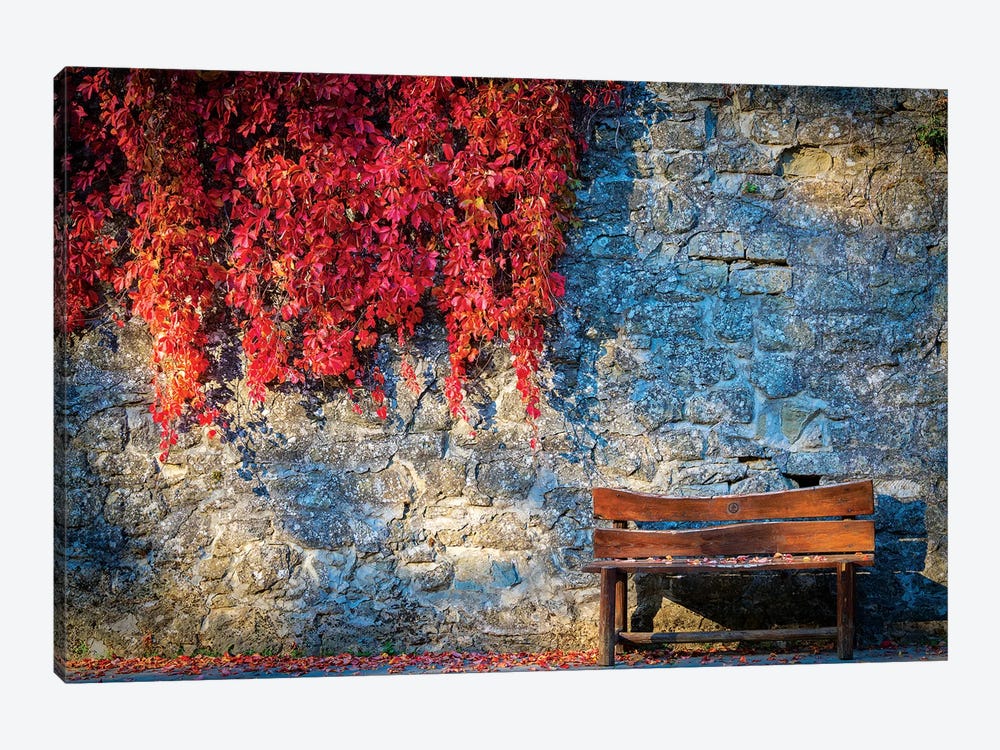 Waiting For You by Marco Carmassi 1-piece Canvas Artwork