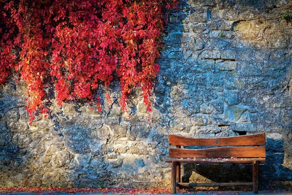 City Parks: Waiting For You by Marco Carmassi