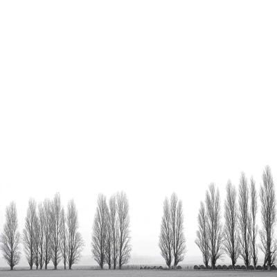 Wrapped In Silence by Marco Carmassi framed canvas print