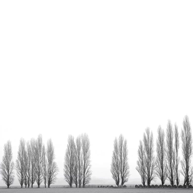 Wrapped In Silence by Marco Carmassi wall art