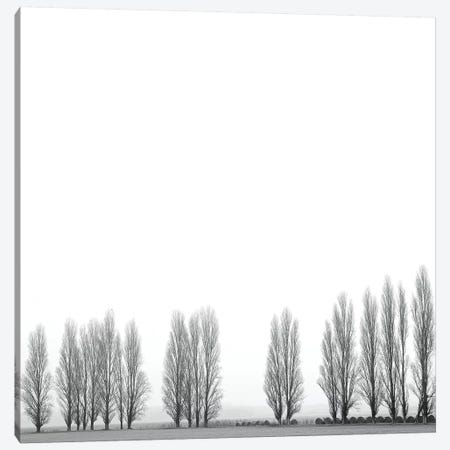 Wrapped In Silence Canvas Print #MAO203} by Marco Carmassi Art Print