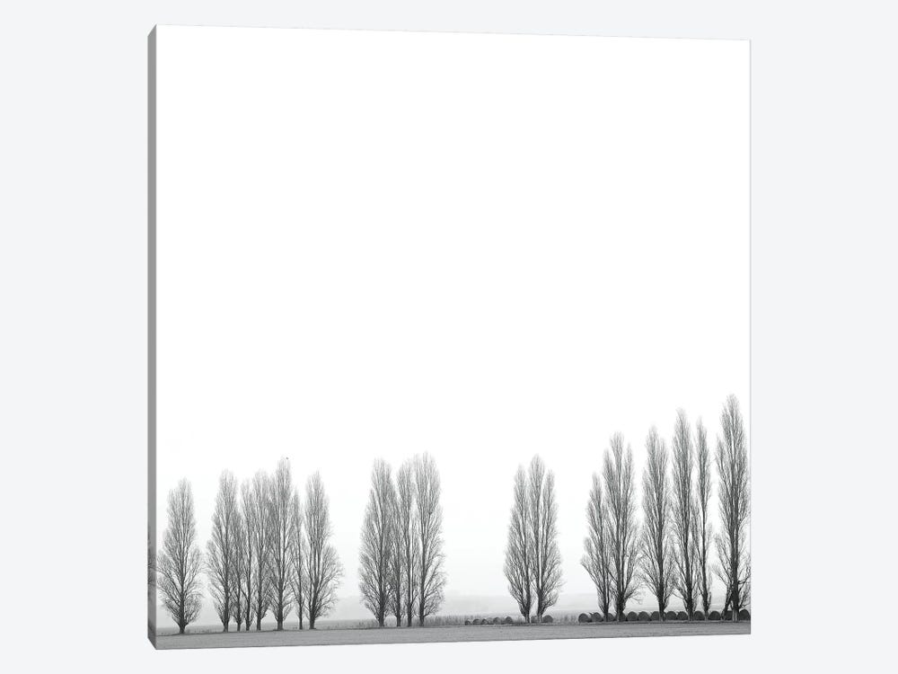 Wrapped In Silence by Marco Carmassi 1-piece Canvas Print