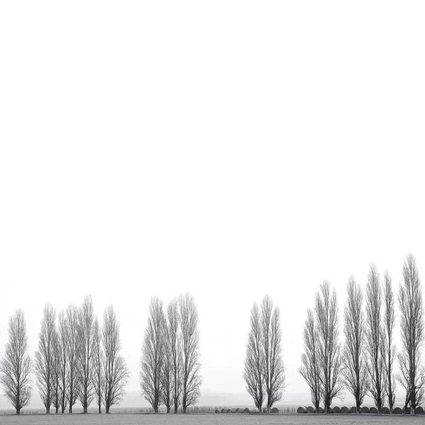 Marco Carmassi: Wrapped In Silence by Marco Carmassi