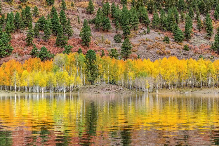 American Autumn Colors by Marco Carmassi wall art