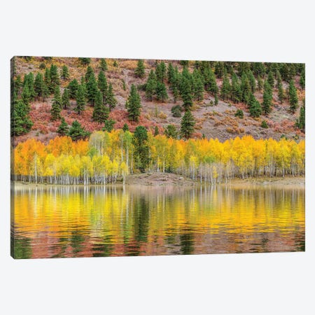 American Autumn Colors Canvas Print #MAO205} by Marco Carmassi Canvas Artwork