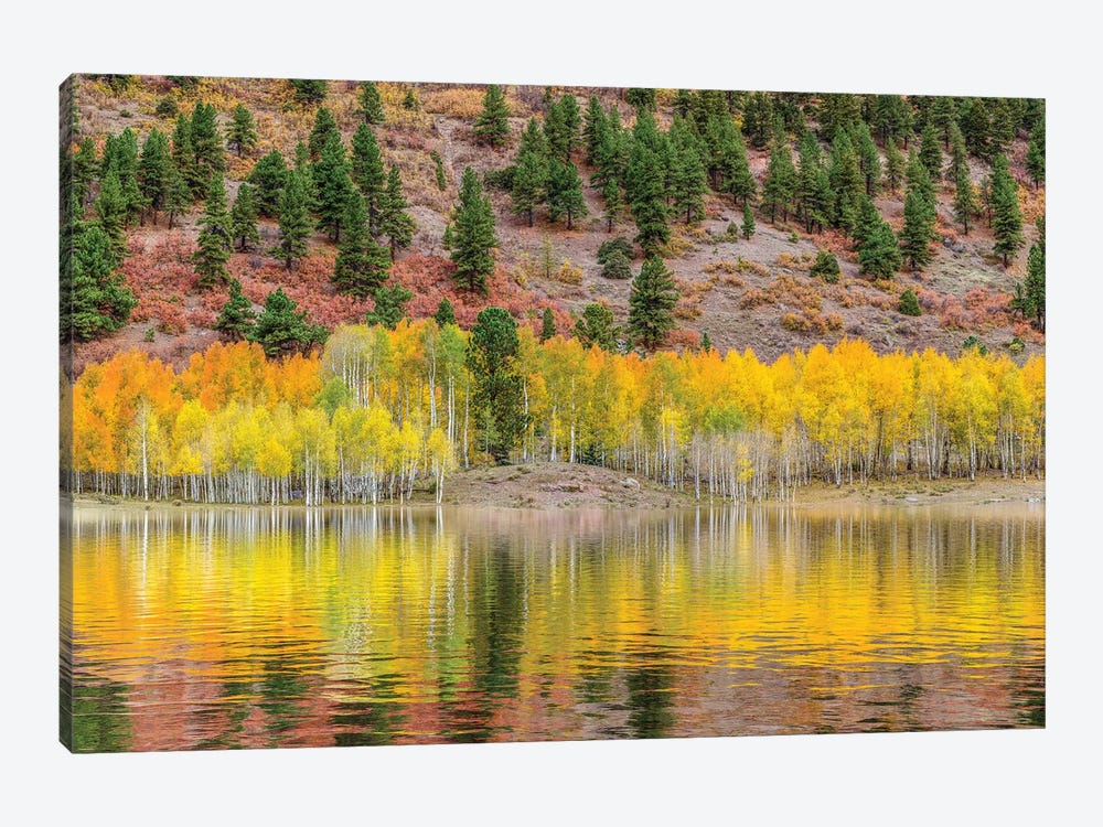 American Autumn Colors by Marco Carmassi 1-piece Canvas Print