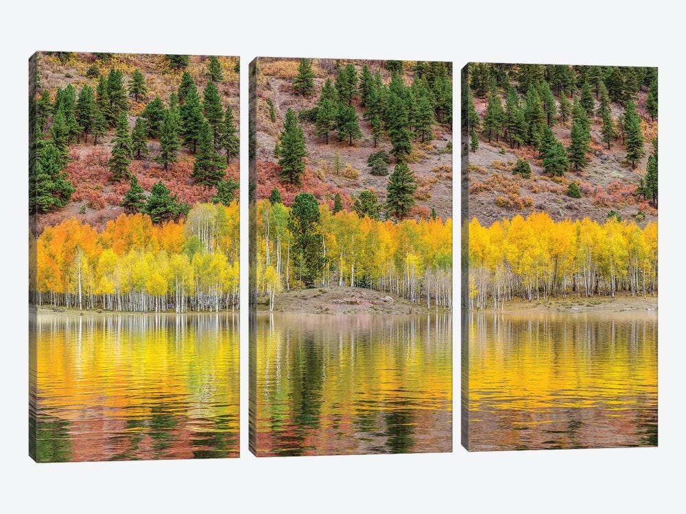 American Autumn Colors by Marco Carmassi 3-piece Canvas Print