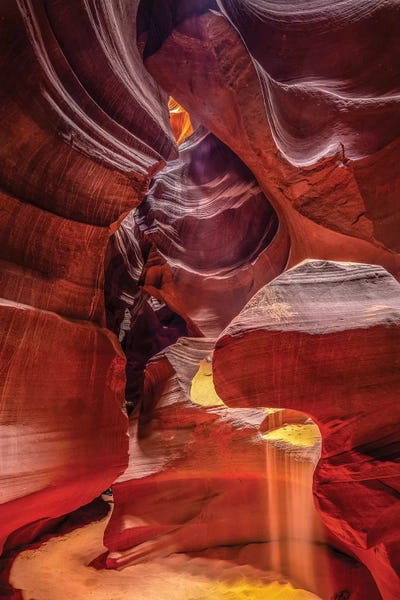 Desert: Gold Sand by Marco Carmassi