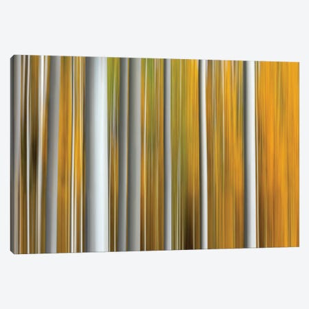Parallel Lines Canvas Print #MAO211} by Marco Carmassi Canvas Wall Art