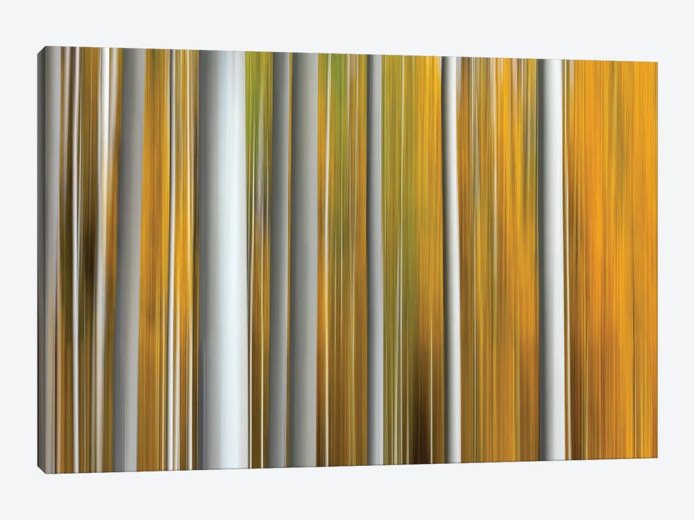 Parallel Lines by Marco Carmassi 1-piece Canvas Wall Art