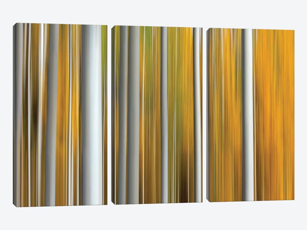 Parallel Lines by Marco Carmassi 3-piece Canvas Wall Art