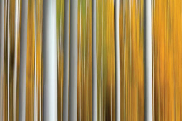 Abstract Photography: Parallel Lines by Marco Carmassi