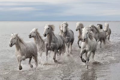 Run On The Water by Marco Carmassi multi panel art