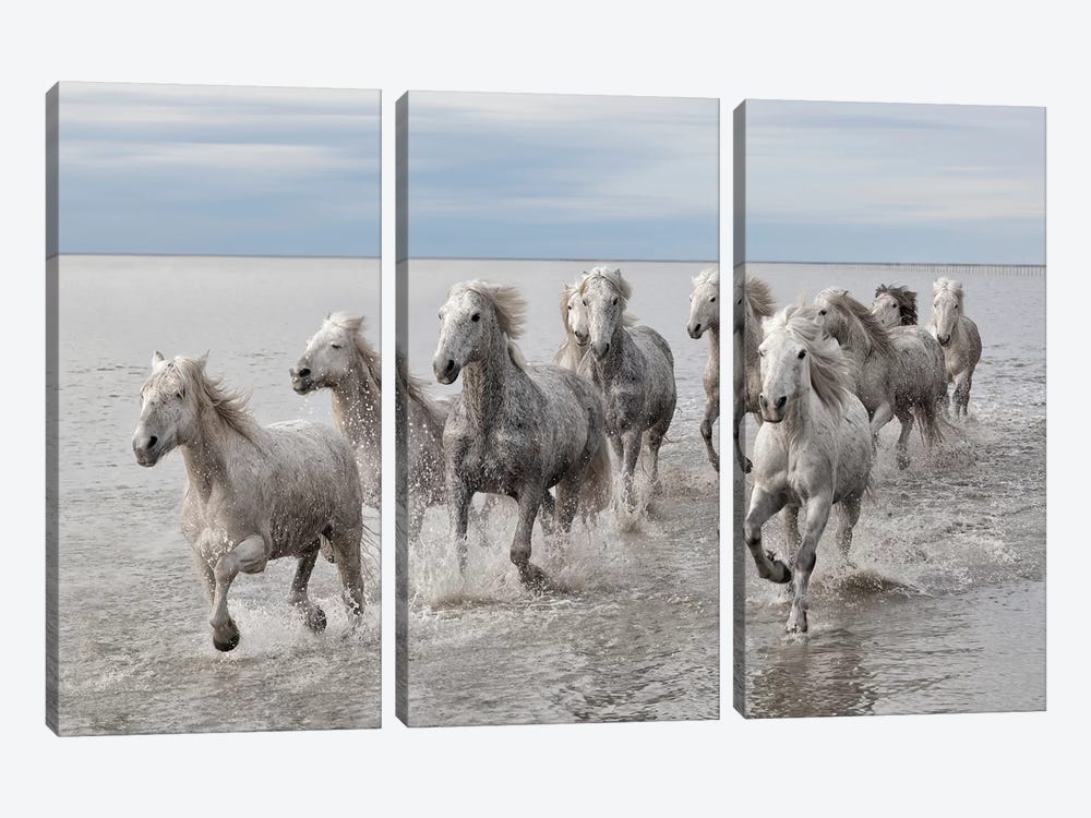 Run On The Water by Marco Carmassi 3-piece Canvas Wall Art