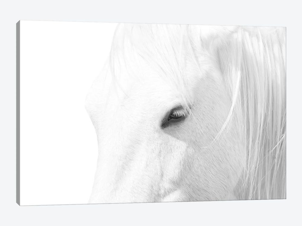 White Horse by Marco Carmassi 1-piece Art Print