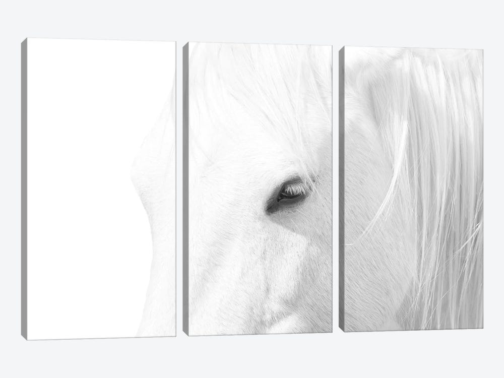 White Horse by Marco Carmassi 3-piece Canvas Art Print