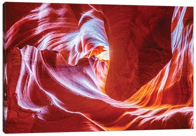 Antelope Wave Canvas Art Print