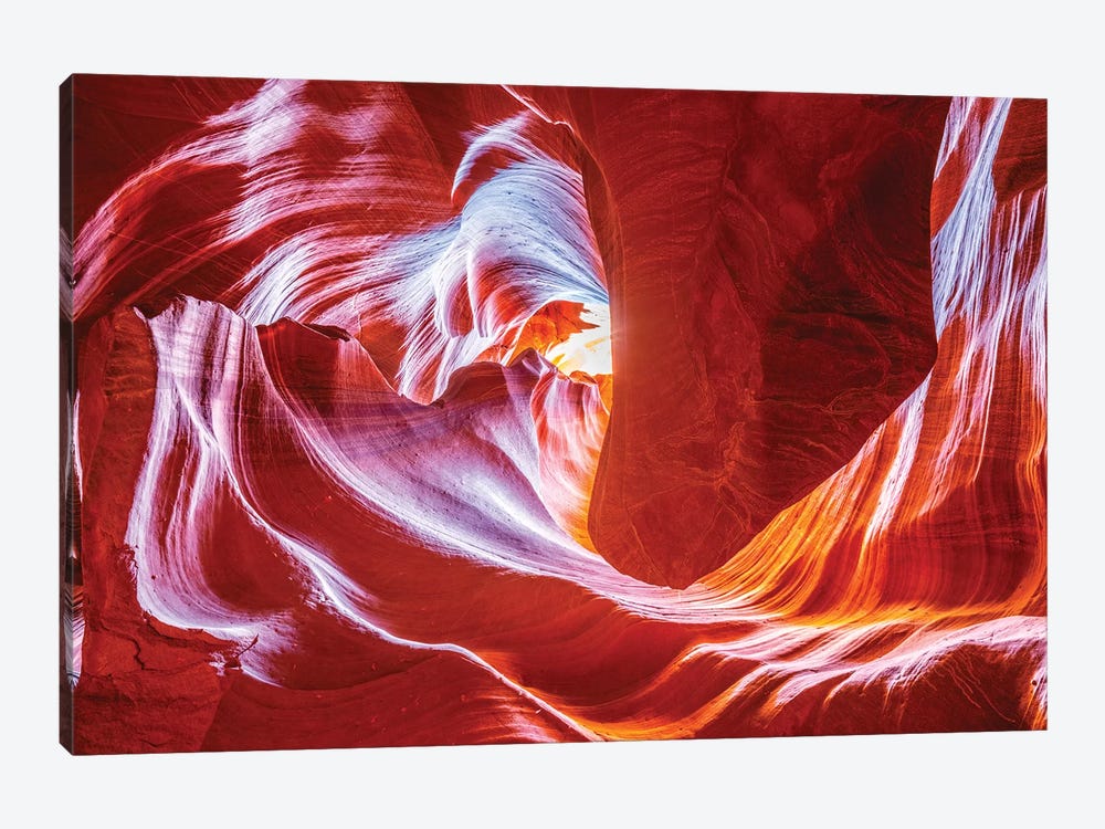 Antelope Wave by Marco Carmassi 1-piece Canvas Artwork