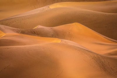 Gold Desert by Marco Carmassi multi panel art