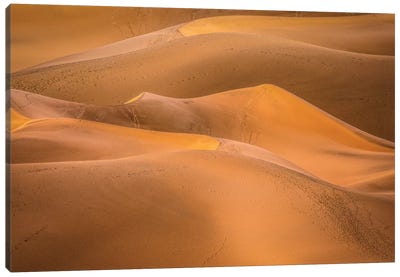 Gold Desert Canvas Art Print - Marco Carmassi