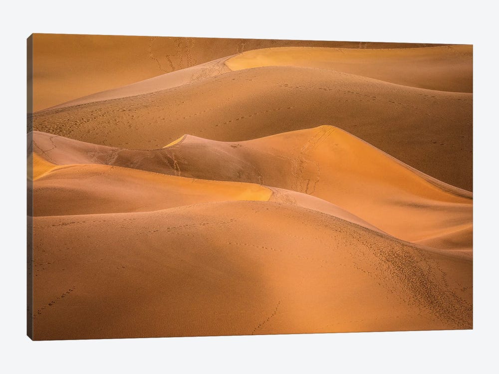 Gold Desert by Marco Carmassi 1-piece Art Print