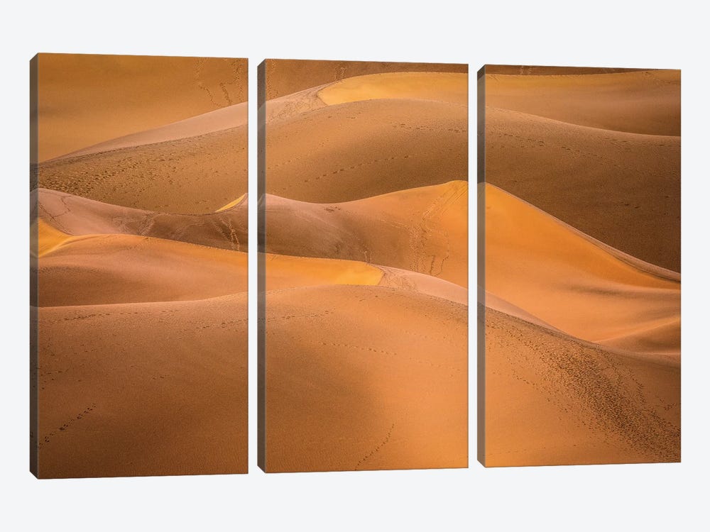 Gold Desert by Marco Carmassi 3-piece Art Print