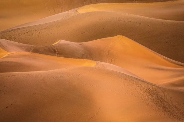 Marco Carmassi: Gold Desert by Marco Carmassi