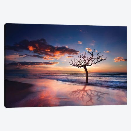 Tree In The Sea Canvas Print #MAO22} by Marco Carmassi Canvas Wall Art
