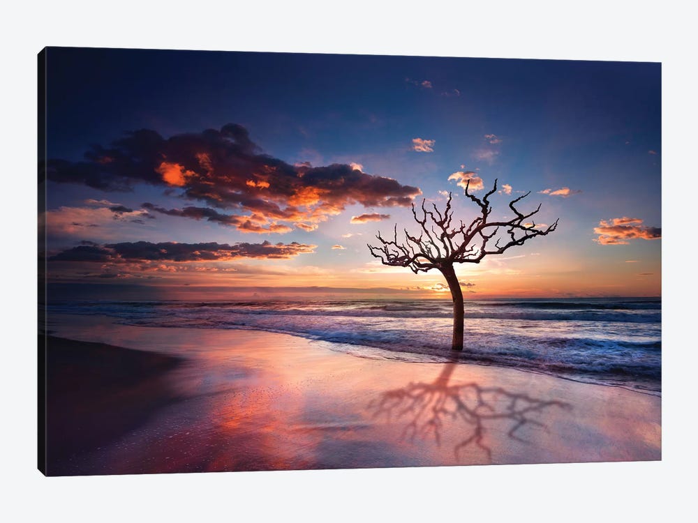 Tree In The Sea by Marco Carmassi 1-piece Canvas Art Print