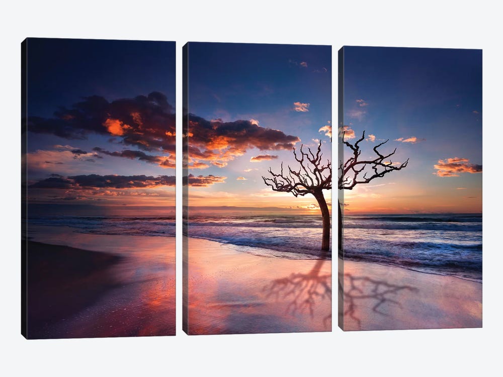 Tree In The Sea 3-piece Canvas Print