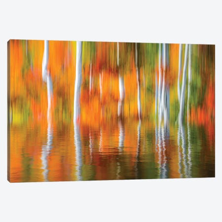 Orange Reflection Canvas Print #MAO230} by Marco Carmassi Canvas Artwork