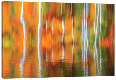 Orange Reflection Canvas Art Print - Reflective Moments
