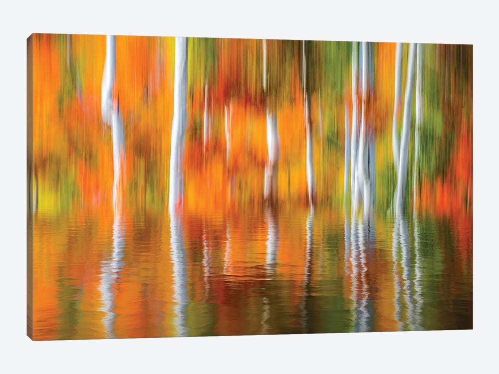 Orange Reflection by Marco Carmassi 1-piece Canvas Print