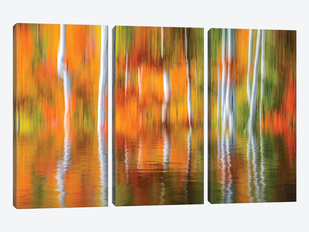 Orange Reflection by Marco Carmassi 3-piece Art Print