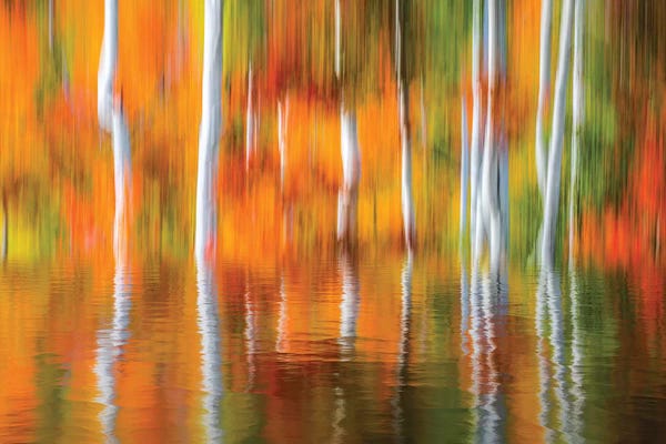 Reflective Moments: Orange Reflection by Marco Carmassi