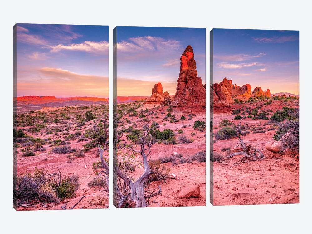 Red Stones 3-piece Canvas Wall Art