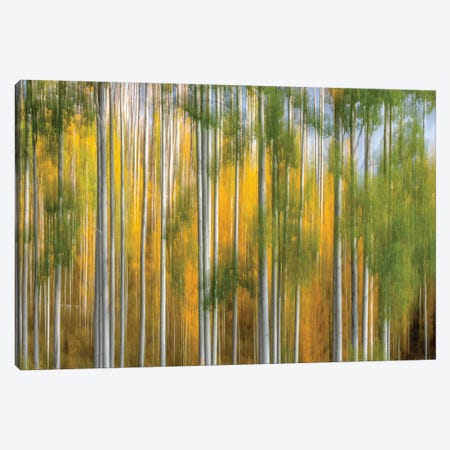 Telluride Autumn Canvas Print #MAO233} by Marco Carmassi Canvas Wall Art