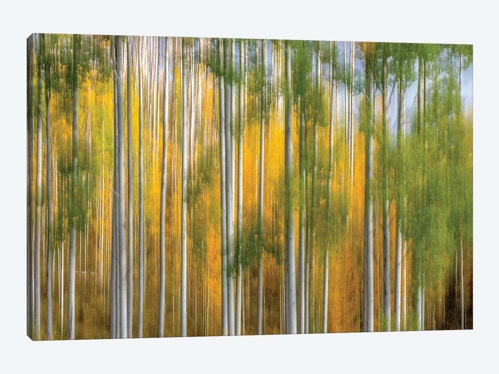 Telluride Autumn by Marco Carmassi 1-piece Canvas Art
