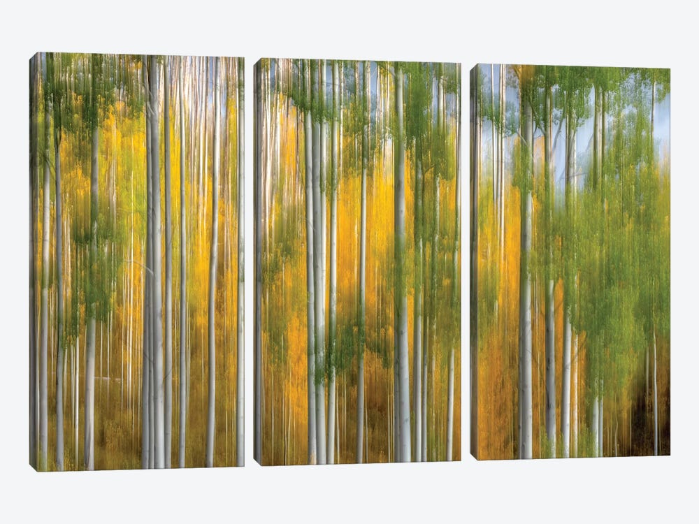 Telluride Autumn by Marco Carmassi 3-piece Canvas Art