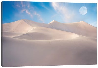 White Desert Canvas Art Print - Marco Carmassi
