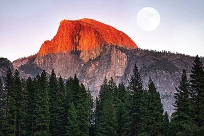Yosemite by Marco Carmassi metal wall art