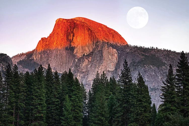 Yosemite by Marco Carmassi wall art
