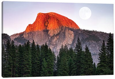 Yosemite Canvas Art Print - Yosemite National Park Art