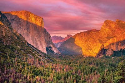 Yosemite National Park