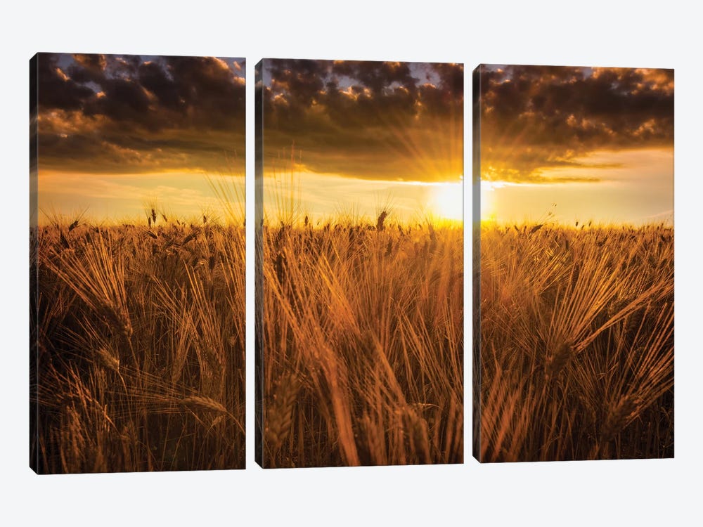 Early In The Morning by Marco Carmassi 3-piece Canvas Art Print