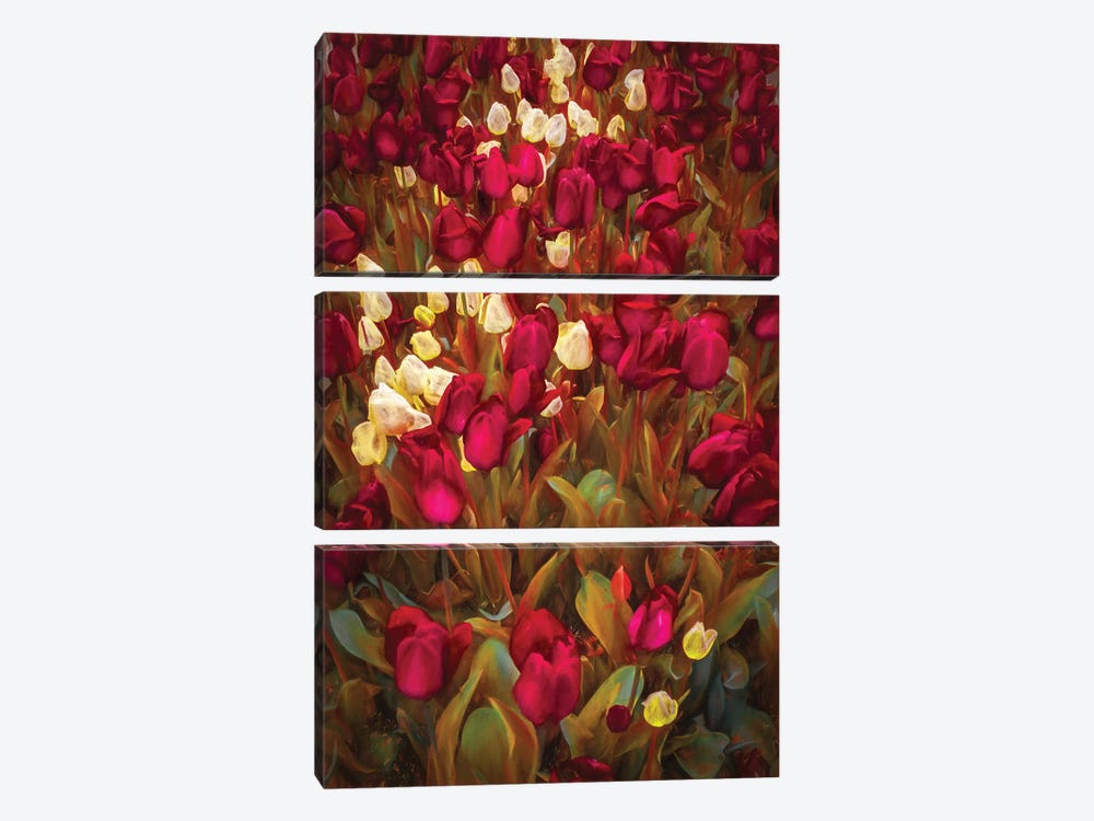 Tulips by Marco Carmassi 3-piece Canvas Print